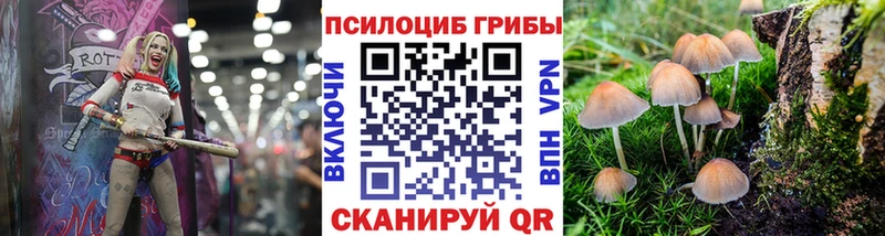 купить наркотик  Лаишево  Псилоцибиновые грибы прущие грибы 