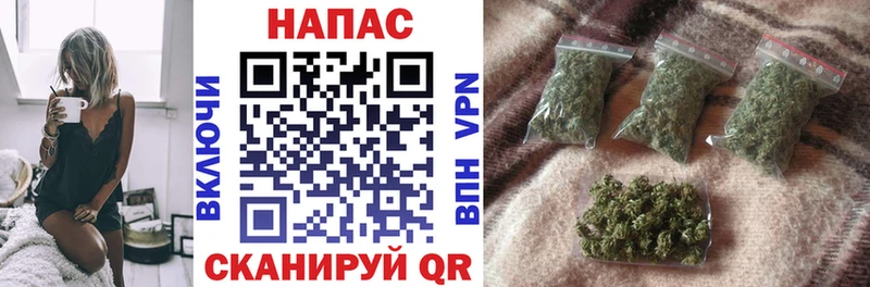 где можно купить   Лаишево  Конопля Bruce Banner 